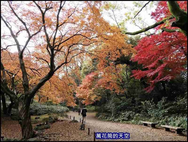 萬花筒28東京六義園.jpg - 20191210東京駒込六義園りくぎえん賞楓