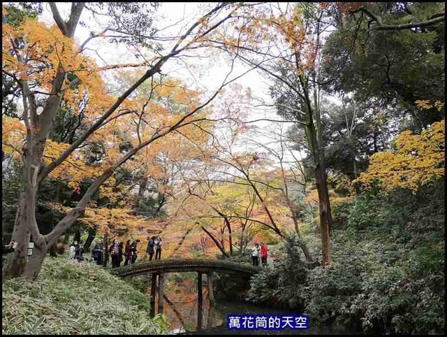 萬花筒21東京六義園.jpg - 20191210東京駒込六義園りくぎえん賞楓