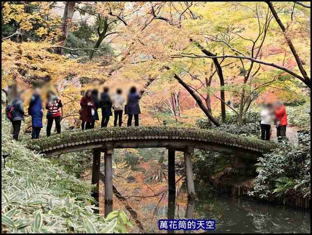 萬花筒22東京六義園.jpg - 20191210東京駒込六義園りくぎえん賞楓