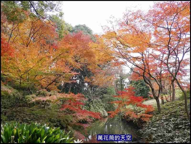 萬花筒19東京六義園.jpg - 20191210東京駒込六義園りくぎえん賞楓