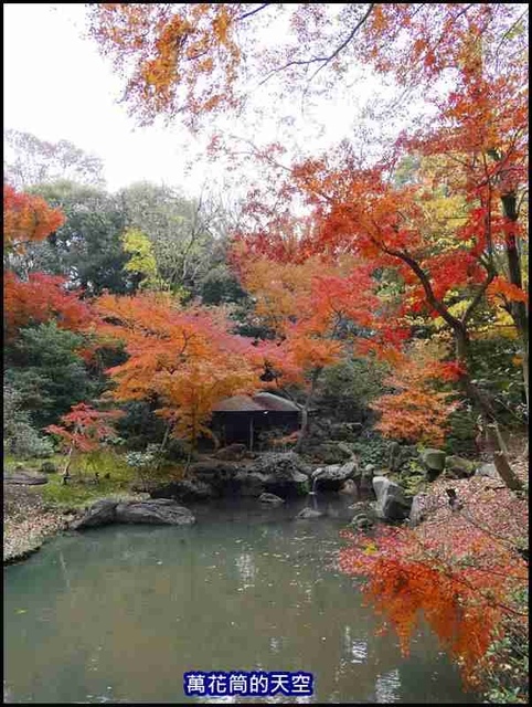 萬花筒35東京六義園.jpg - 20191210東京駒込六義園りくぎえん賞楓