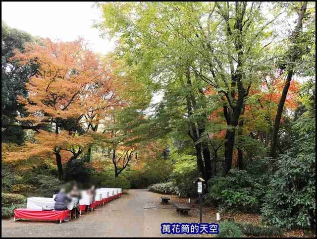 萬花筒32東京六義園.jpg - 20191210東京駒込六義園りくぎえん賞楓