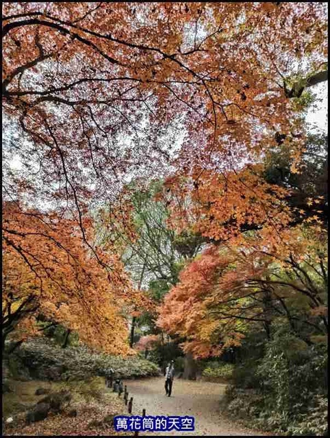 萬花筒70東京二.jpg - 20191210東京駒込六義園りくぎえん賞楓