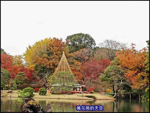 萬花筒84東京二.jpg - 20191210東京駒込六義園りくぎえん賞楓