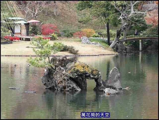 萬花筒45東京六義園.jpg - 20191210東京駒込六義園りくぎえん賞楓