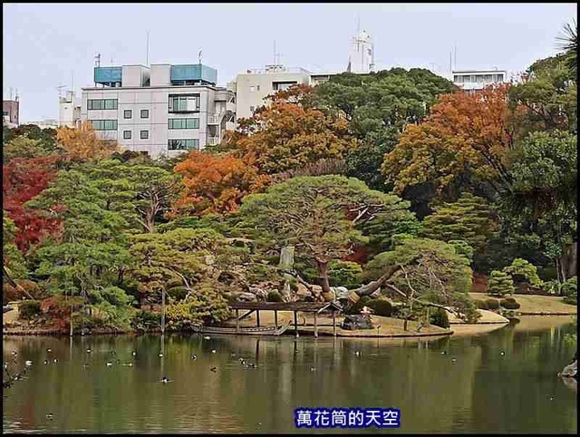 萬花筒78東京二.jpg - 20191210東京駒込六義園りくぎえん賞楓