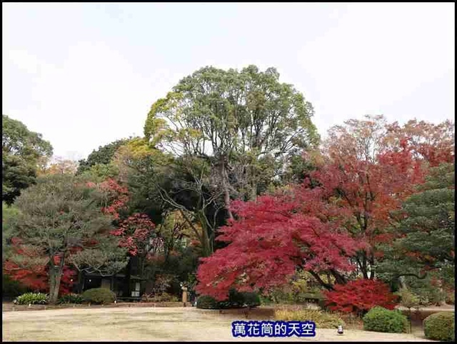 萬花筒53東京六義園.jpg - 20191210東京駒込六義園りくぎえん賞楓