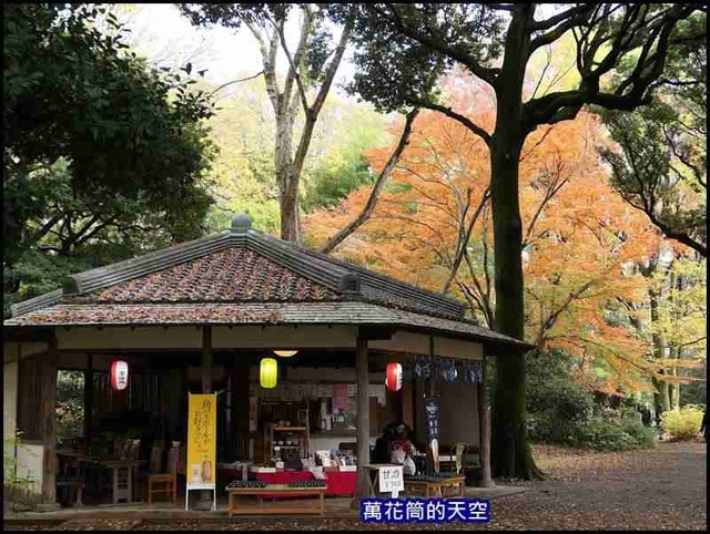 萬花筒56東京六義園.jpg - 20191210東京駒込六義園りくぎえん賞楓