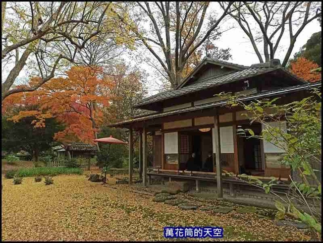 萬花筒89東京二.jpg - 20191210東京駒込六義園りくぎえん賞楓