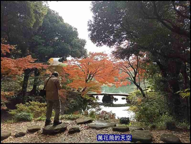 萬花筒105東京二.jpg - 20191210東京駒込六義園りくぎえん賞楓