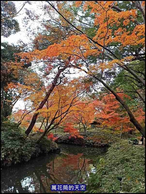 萬花筒60東京二.jpg - 20191210東京駒込六義園りくぎえん賞楓