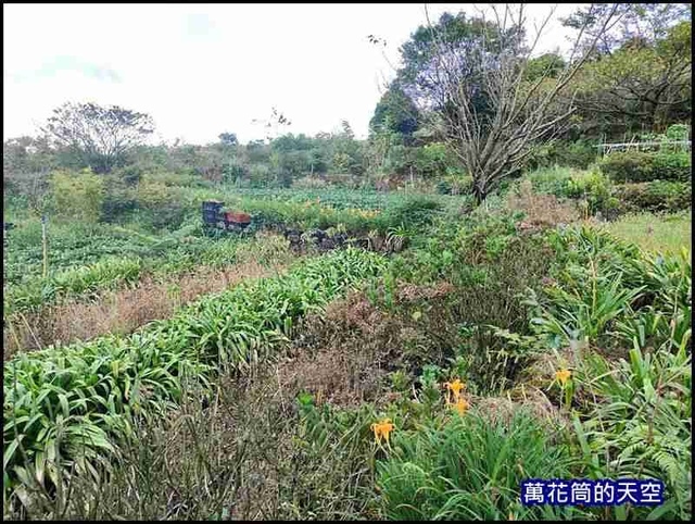 萬花筒68台北.jpg - 20210905台北華