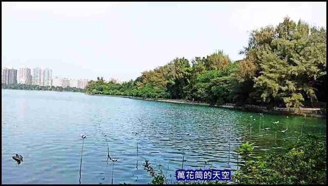 萬花筒28澄清湖風景區.jpg - 20201125高雄澄清湖風景區&圓山木棧道