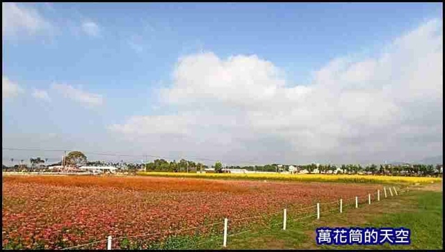 萬花筒A21新社花海2020.jpg - 20201126台中新社花海暨台中花毯節