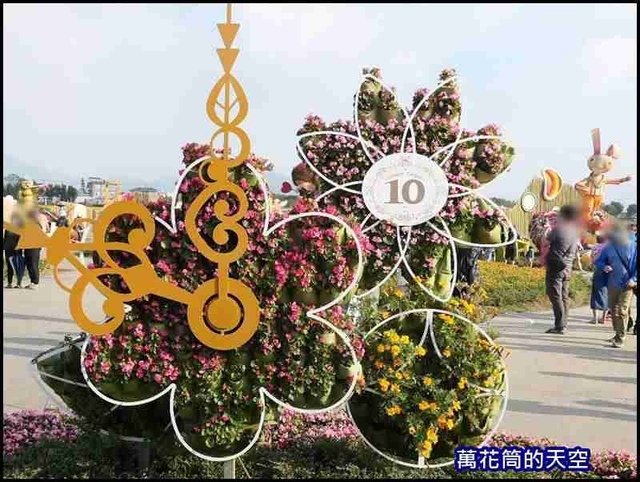 萬花筒11新社花海2020.jpg - 20201126台中新社花海