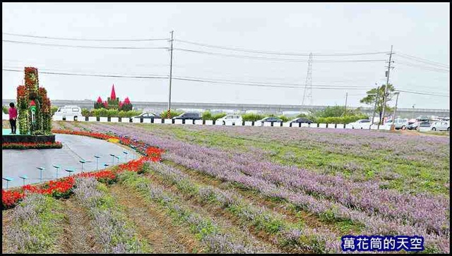 萬花筒9楊海仙草花節2019.jpg - 20191128桃園楊梅仙草花節