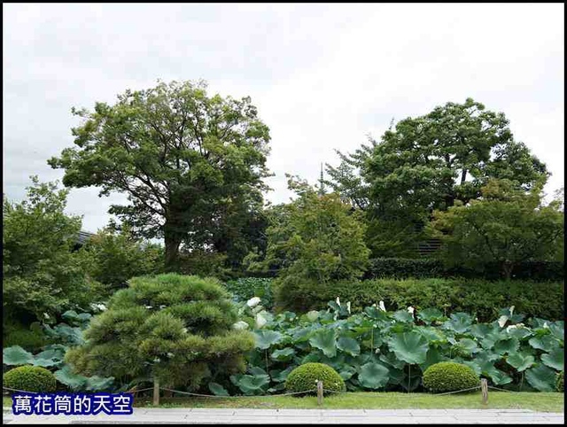 萬花筒36京都DAY2.jpg - 20190727日本京都東寺TOJI