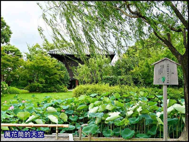 萬花筒48京都DAY2.jpg - 20190727日本京都東寺TOJI