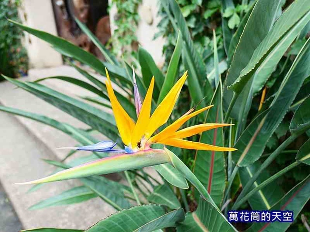 萬花筒90新竹.jpg - 20190719苗栗天空之城