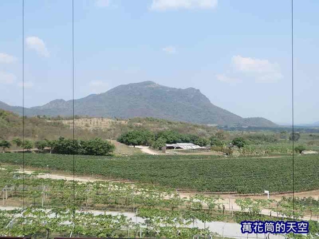 萬花筒的天空176華欣.jpg - 20190204泰國華欣Monsoon Valley Wineyard