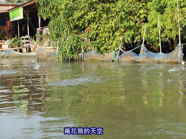 萬花筒的天空141泰國七.jpg - 20190206泰國丹能莎朵水上市場Damnoen Saduak Floating Market