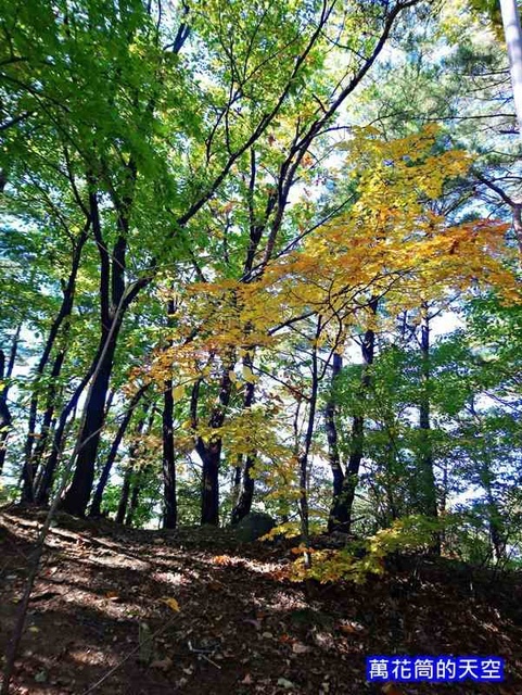 萬花筒的天空29大邱二.jpg - 2011019韓國大邱前山公園展望台