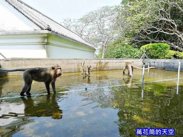 20180214泰國一104.jpg - 20180214泰國拷汪宮