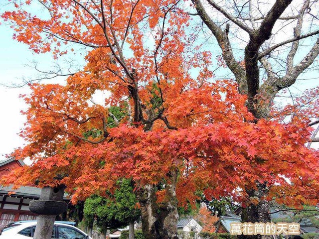 20171115日本33.jpg - 20171115栃木日光山輪王寺