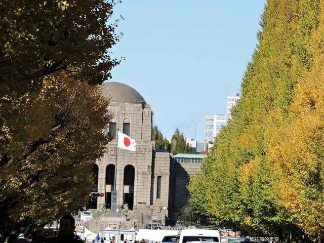 201711明治神宮外苑銀杏181.jpg - 20171116日本東京明治神宮外苑銀杏大道