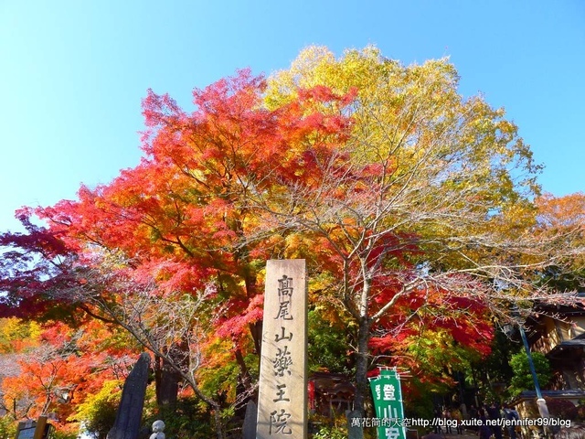 P1540162.JPG - 20121116東京高尾山多彩楓紅