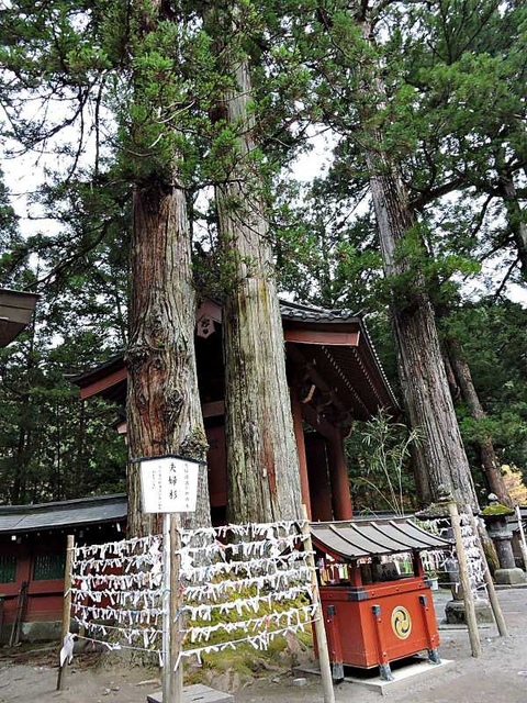 DSCN3960.jpg - 20171115日本栃木日光二荒山神社