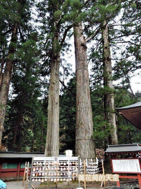 20171115日本632.jpg - 20171115日本栃木日光二荒山神社