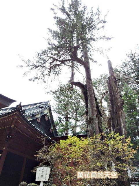 20171115日本82.jpg - 20171115日本栃木日光二荒山神社