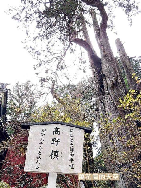 20171115日本92.jpg - 20171115日本栃木日光二荒山神社