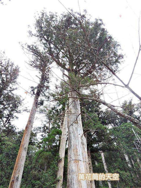 20171115日本162.jpg - 20171115日本栃木日光二荒山神社