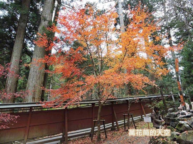 20171115日本452.jpg - 20171115日本栃木日光二荒山神社