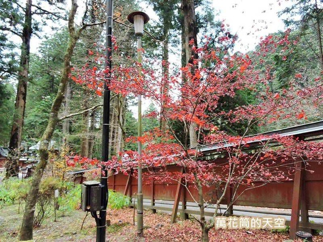 20171115日本462.jpg - 20171115日本栃木日光二荒山神社