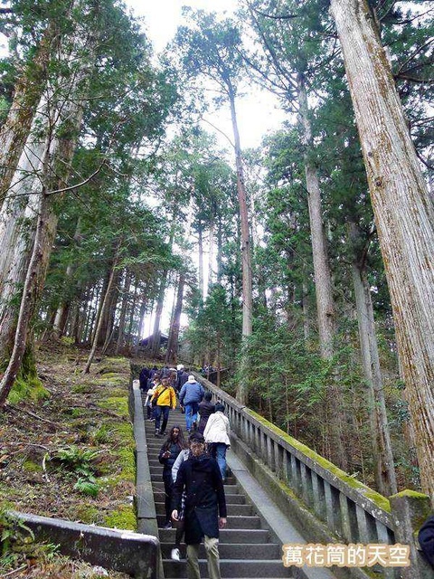 20171115日本1296.jpg - 20171115栃木日光東照宮