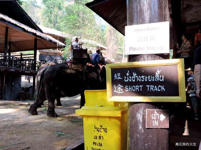 DSCN0381.JPG - 20150418泰國清邁MAESA ELEPHANT CAMP