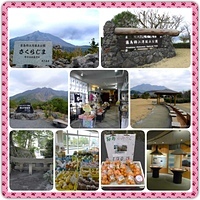 [鹿兒島]櫻島火山(さくらじま)一日遊