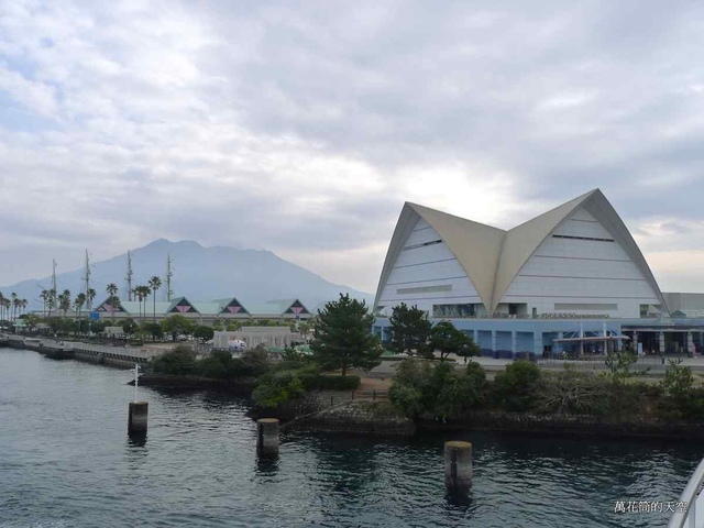 [鹿兒島]櫻島フェリー(櫻島渡輪)