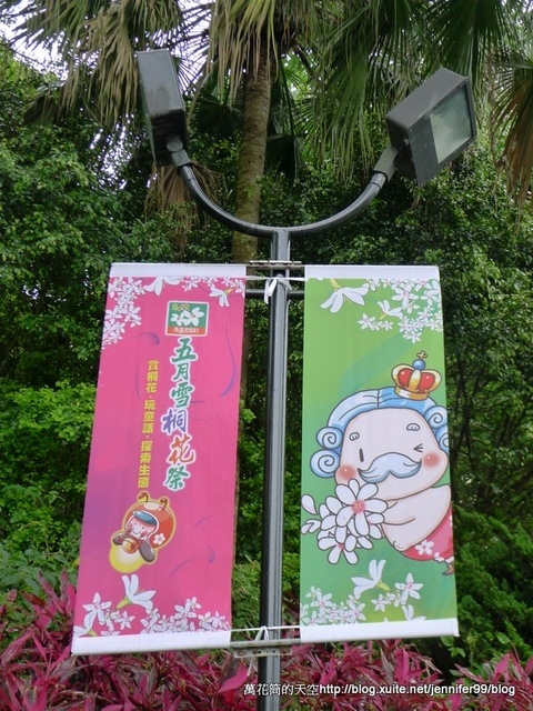 [苗栗]西湖渡假村五月雪桐花祭