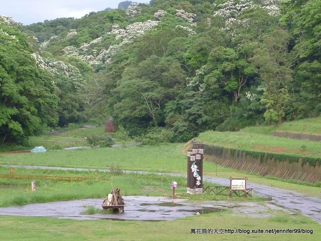 [苗栗]西湖渡假村五月雪桐花祭