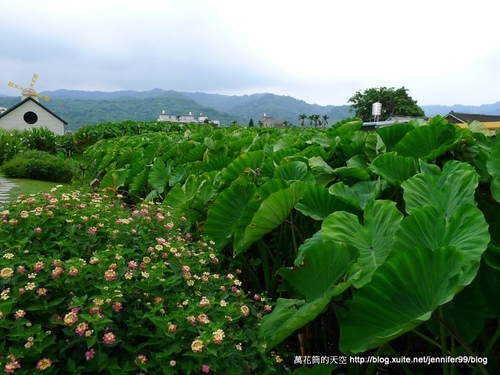 [苗栗]棗莊古藝庭園膳坊