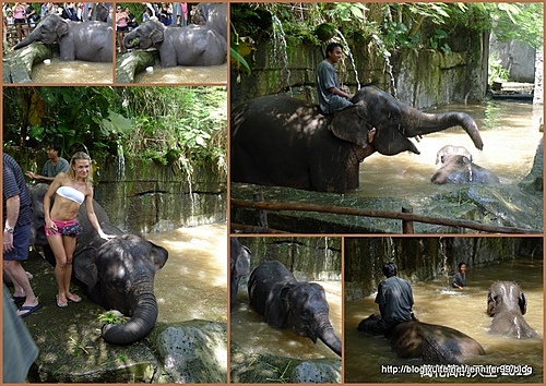 [峇里島]BALI SAFARI & MARINE PARK