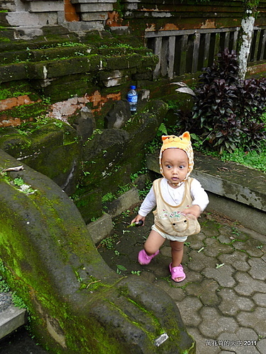 [印尼]20110127峇里島白金遊第三日