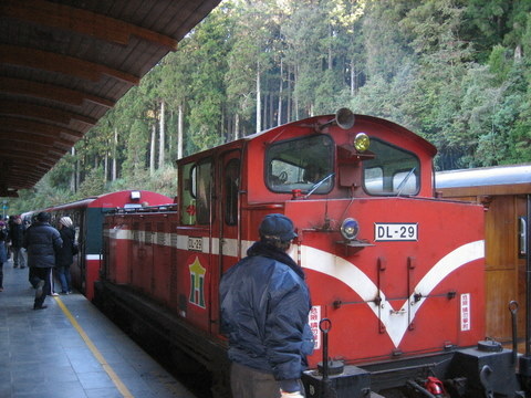 2009阿里山日出 150.jpg - 2009阿里山跨年與台中行