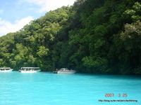 [大洋洲]20070323帛琉Palau水母火山泥五日行