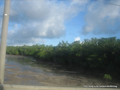 [大洋洲]20070323帛琉Palau水母火山泥五日行