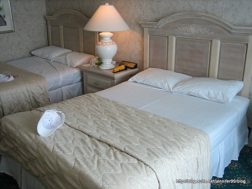 [大洋洲]20070323帛琉Palau水母火山泥五日行